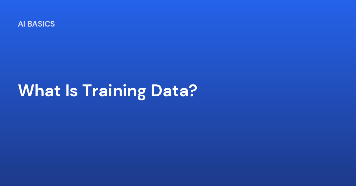 What Is Training Data?
